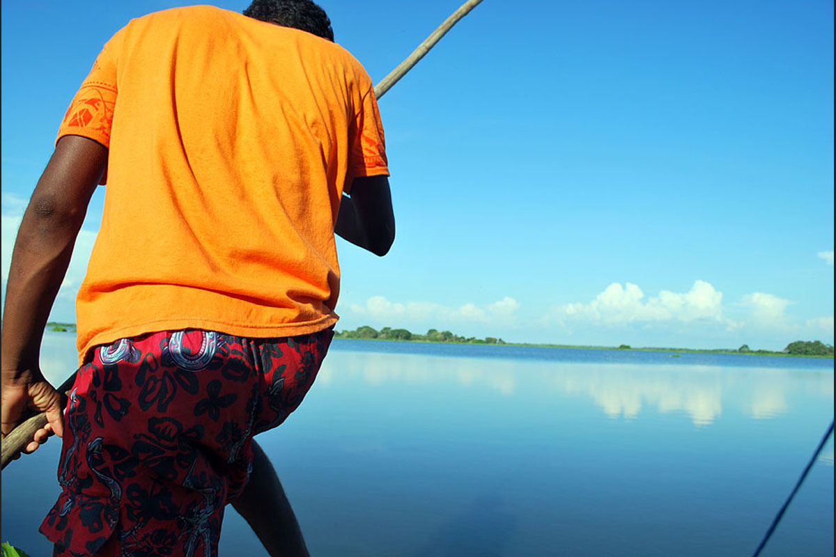 The cienaga, or swamp of the River Magdalena, as it nears the Caribbean Sea. The delta supplies the setting for Gabriel Garcia Marquez' novel, One Hundred Years of Solitude, the best-known imaginary rendering of Colombian reality.