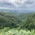  In the mountains near Okamibuchi, Hiroshima prefecture. Five decades ago, Paul Erlich's book The Population Bomb sparked global fears of 'mass starvation' on a 'dying planet' because of overpopulation. In 2024, however, the UN revised its population estimates, and now expects the population of the world to peak at about 10.3 billion in the mid-2080s before starting to fall.