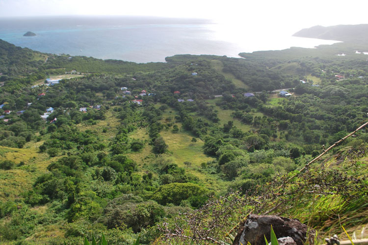 Until the 1950s, the islanders grew oranges, gungo peas, mangos and coconuts in the hills, which they traded with English-speaking communities in Central American towns like Colon, Limon, and Bluefields. The boundaries of what were once family plots are still discernible. 